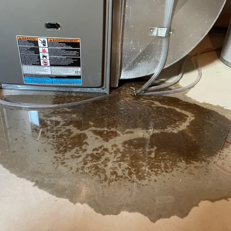 Appliance Leak Cleanup in Arroyo Grande, CA